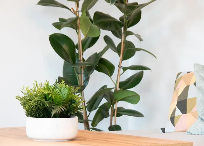 Wojskowa 1 / Park Apartment Poznan